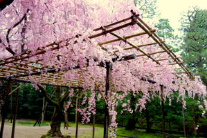 Photo_2